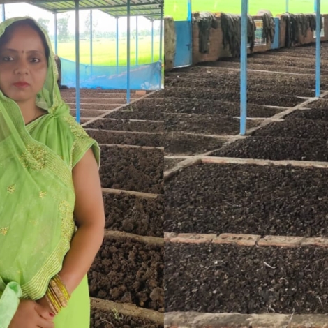 Meena Gautam from Uttar Pradesh, Gorakhpur selling vermicompost